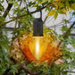 ✨Hanging Camping Lantern – Vintage style, Type-C fast charge. 400mAh battery, soft glow. Use indoors or out. Great for DIY decor, fishing trips or patio ambiance. 🎣🏡