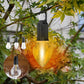 ✨Hanging Camping Lantern – Vintage style, Type-C fast charge. 400mAh battery, soft glow. Use indoors or out. Great for DIY decor, fishing trips or patio ambiance. 🎣🏡