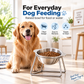 🥣 50% OFF! ✨ 15° Tilted Orthopaedic Feeding Bowl – Raised Stainless Steel Stand, Ergonomic Angle for Better Digestion & Removable Bowl – Simple Everyday Feeding for Cats & Dogs 🐾