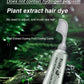 🔥 LIMITED TIME 50% OFF! 💇 Fruit Essence Hair Dyeing Comb – Cream & Comb in One, No-Mix Plant Formula, 80ml ✨