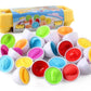 🎁 50% OFF! ✨ Cognitive Development Geometric Eggs (12 Eggs Set) – High-Quality Child-Safe Plastic, Color & Shape Matching & Hand-Eye Coordination – Fun Educational Toy for Toddlers 🥚