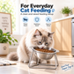 🥣 50% OFF! ✨ 15° Tilted Orthopaedic Feeding Bowl – Raised Stainless Steel Stand, Ergonomic Angle for Better Digestion & Removable Bowl – Simple Everyday Feeding for Cats & Dogs 🐾