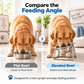 🥣 50% OFF! ✨ 15° Tilted Orthopaedic Feeding Bowl – Raised Stainless Steel Stand, Ergonomic Angle for Better Digestion & Removable Bowl – Simple Everyday Feeding for Cats & Dogs 🐾