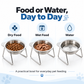 🥣 50% OFF! ✨ 15° Tilted Orthopaedic Feeding Bowl – Raised Stainless Steel Stand, Ergonomic Angle for Better Digestion & Removable Bowl – Simple Everyday Feeding for Cats & Dogs 🐾