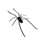 Spider Fridge Magnet🎁Realistic Spider Magnets, for Refrigerator, Garage Door, or Car