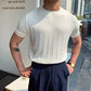 Men's Crew Neck Knit Short Sleeve Sweaters with Twist Pattern