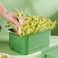 Stackable Bean Sprout Growing Box（50% OFF）