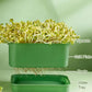 Stackable Bean Sprout Growing Box（50% OFF）