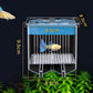 ✨Hot Sale 50% OFF🌊4-Layer Protective Detachable Acrylic Fry Hatching Box🐠
