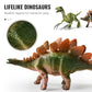 🦕 LIMITED-TIME 50% OFF! ✨ Educational Dinosaur Toy Kit – Dig, Assemble, Learn with Fossils 🦴