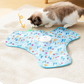 2-In-1 Hide and Seek Game Cat Toy