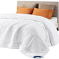 🛏️ 50% OFF! ✨ Lightweight & Breathable Quilted Duvet Insert – Premium Down-Alternative Fiber, Box-Stitch Construction & Secure Corner Tabs – All-Season Hypoallergenic Comfort for Sensitive Sleepers 🌙