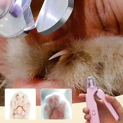 🐾 50% OFF! ✨ Safe 2-in-1 LED Pet Nail Clipper & Grinder – Sharp Stainless Blade, Anti-Splash Guard & Quiet Motor – Gentle Grooming for Dogs & Cats 🐶