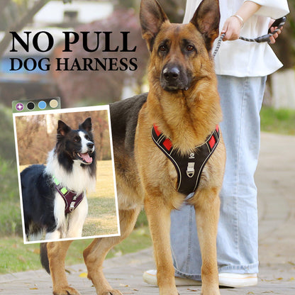 🐶 50% OFF! ✨ No-Pull Dog Harness Kit – Front Metal D-Ring No-Pull Control, Integrated Collar LED & Secure Multi-Point Fit – Thick Padded All-Day Comfort with Leash for Walks, Jogging & Training 🦺