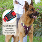 🐶 50% OFF! ✨ No-Pull Dog Harness Kit – Front Metal D-Ring No-Pull Control, Integrated Collar LED & Secure Multi-Point Fit – Thick Padded All-Day Comfort with Leash for Walks, Jogging & Training 🦺
