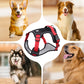 🐶 50% OFF! ✨ No-Pull Dog Harness Kit – Front Metal D-Ring No-Pull Control, Integrated Collar LED & Secure Multi-Point Fit – Thick Padded All-Day Comfort with Leash for Walks, Jogging & Training 🦺