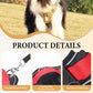 🐶 50% OFF! ✨ No-Pull Dog Harness Kit – Front Metal D-Ring No-Pull Control, Integrated Collar LED & Secure Multi-Point Fit – Thick Padded All-Day Comfort with Leash for Walks, Jogging & Training 🦺