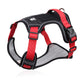 🐶 50% OFF! ✨ No-Pull Dog Harness Kit – Front Metal D-Ring No-Pull Control, Integrated Collar LED & Secure Multi-Point Fit – Thick Padded All-Day Comfort with Leash for Walks, Jogging & Training 🦺