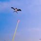 🪁 2026 SALE 50% OFF! 🎣 Handheld Fishing Rod Kite Toy – Innovative Pole Control, Easy to Fly, Perfect for Outdoor Fun 🪁