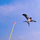 🪁 2026 SALE 50% OFF! 🎣 Handheld Fishing Rod Kite Toy – Innovative Pole Control, Easy to Fly, Perfect for Outdoor Fun 🪁