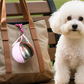 🐕 LIMITED TIME 50% OFF! 🔥 2-in-1 Portable Dog Water Bottle for Small Dogs – Leak-Proof, Compact & Foldable Silicone Bowl 🐾