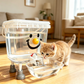 📢📢50% OFF !! ⏰Pet Water Dispenser with Large Capacity