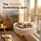 🐱 50% OFF! ✨ 90° Foldable Cat Window Perch Hammock – Heavy-Duty Suction Cups Hold Up to 18kg, Ultra-Soft Removable & Washable Cover – Panoramic Sunbathing Spot for Your Feline ☀️