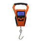 ⚖️ LIMITED-TIME 50% OFF! ✨ Portable Electronic Scale – 50kg, Backlit, for Luggage & Fishing 🎣