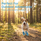 🔥 LAST DAY SPECIAL 50% OFF! ⚡ Lightweight Mesh Anti-Slip Pet Dog Boots – Breathable Summer Sandals, All Terrain Use 🐶
