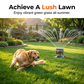 🏆 LAST DAY SPECIAL 50% OFF! 🔥 Wide-Coverage Automatic Rotating Garden Sprinkler – Oscillating Rain-Like Hydration for Lush Lawns 🌿