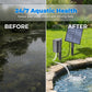 🎉 2026 SALE 50% OFF! 🐟 Solar Powered Pond Aerator – Outdoor Fish Pond Oxygen Pump with Air Stone ✨