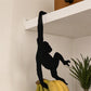 🐒 LIMITED TIME 50% OFF! Monkey Shaped Banana Hook – Hang Fruit, Keys & Bags – Playful Storage with Personality! ✨