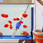 🎉 LIMITED TIME 50% OFF! 🐠 Electric Suction Aquarium Water Changer Filter Cleaner – Powerful Suction, Integrated Filtration & User-Friendly Operation ✨