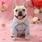🎉 LIMITED TIME 50% OFF! 👗 Cute Princess Denim Dog Jacket – Stylish Adjustable Clothing for Small & Medium Dogs, Soft Washed Denim with Bow Accent 🐩✨