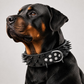 🎉 LIMITED TIME 50% OFF! 🐕 Spiked PU Leather Dog Collar – Anti-Bite Design, Premium PU Leather & Heavy-Duty D-Ring ✨