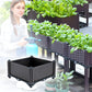 🌱 SAVE 50%! 🥬 Multifunctional Planting Box – Grow Veggies & Herbs Easily – Self-Watering, Reinforced PP & Sturdy Stable Design ✨
