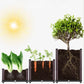 🌱 SAVE 50%! 🥬 Multifunctional Planting Box – Grow Veggies & Herbs Easily – Self-Watering, Reinforced PP & Sturdy Stable Design ✨