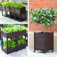 🌱 SAVE 50%! 🥬 Multifunctional Planting Box – Grow Veggies & Herbs Easily – Self-Watering, Reinforced PP & Sturdy Stable Design ✨