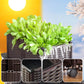 🌱 SAVE 50%! 🥬 Multifunctional Planting Box – Grow Veggies & Herbs Easily – Self-Watering, Reinforced PP & Sturdy Stable Design ✨