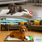 🐾 SAVE 50%! 🛡️ Silicone Pet Training Mat – Non-Slip, Leakproof & Easy-Clean – Food-Grade Silicone with Secure Buckle System ✨
