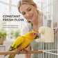 🐦 LIMITED TIME 50% OFF! 💧 250ml Automatic Bird Water Dispenser – Gravity-Feed Fresh Flow, Secure Cage Fit & Clear Monitoring – Hassle-Free Hydration ✨