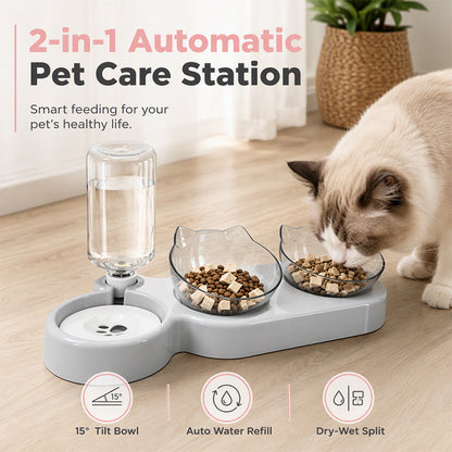 🐾 LIMITED-TIME 50% OFF! 🍽️ 2-in-1 Ergonomic Elevated Tilted Pet Bowl – 15° Angled Design, Automatic Water Refill & Anti-Slip Base – Comfortable Mealtime for Cats & Small Dogs ✨