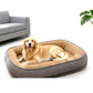 🐾 LIMITED-TIME 50% OFF! ☁️ All-Season Ergonomic Comfort Pet Bed – Supportive Foam Base, Breathable Dual-Texture & Cloud-Like Bolster – Cozy Rest All Year ✨