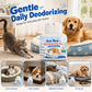 🐾 50% OFF! ✨ Pet Odor Eliminator Gel – Long-Lasting Freshness for Beds & Resting Areas – Gentle Daily Deodorizing, Cleaner-Smelling Sleep Zones 🏠