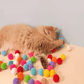 🐱 50% OFF! ✨ Plush Ball Shooting Gun for Cats – Easy Load & Shoot Design, High-Elastic Yarn Balls & Interactive Play – Strengthen Bond & Boost Your Cat's Happiness 🎯