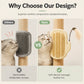 🐾 50% OFF! ✨ 2-in-1 Corner Grooming Accessory – Self-Grooming Brush with Elastic Feather Teaser Wand, Rounded Soft Bristles & Flexible Wall-Mounting – Interactive Grooming & Play for Cats & Dogs 🪶