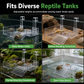 ☀️ 50% OFF! ✨ Hanging Turtle Basking Platform – Clear Acrylic Non-Slip Ramp, Built-In Feeding Trough & Adjustable Mount – Multi-Zone Resting Deck for Healthy Shell Growth 🐢