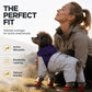 🐕 Water-Resistant Full-Coverage Dog Raincoat – 4-Leg Design Covers Belly & Legs, Sporty Color-Block Style with Elastic Cuffs & Utility Pocket – Lightweight Wind-Blocking Outdoor Walk Essential (S-2XL, 3 Colors) 🌧️