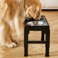 🐕 50% OFF! ✨ Adjustable Elevated Pet Feeder with Double Bowl – 5 Height Levels (21-29cm), Anti-Tip ABS Base & Detachable Stainless Steel Bowls – Ergonomic Dining for Healthy Digestion 🍽️