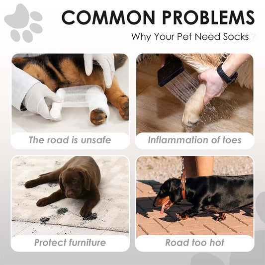 🔥 50% OFF! ✨ Adjustable Dog Boots with Straps – All-Season Paw Protection, Night-Vision Reflective Strips & Dual Sole Options – Secure Fit for Rough Terrain, Hot Pavement & Snow 🐾
